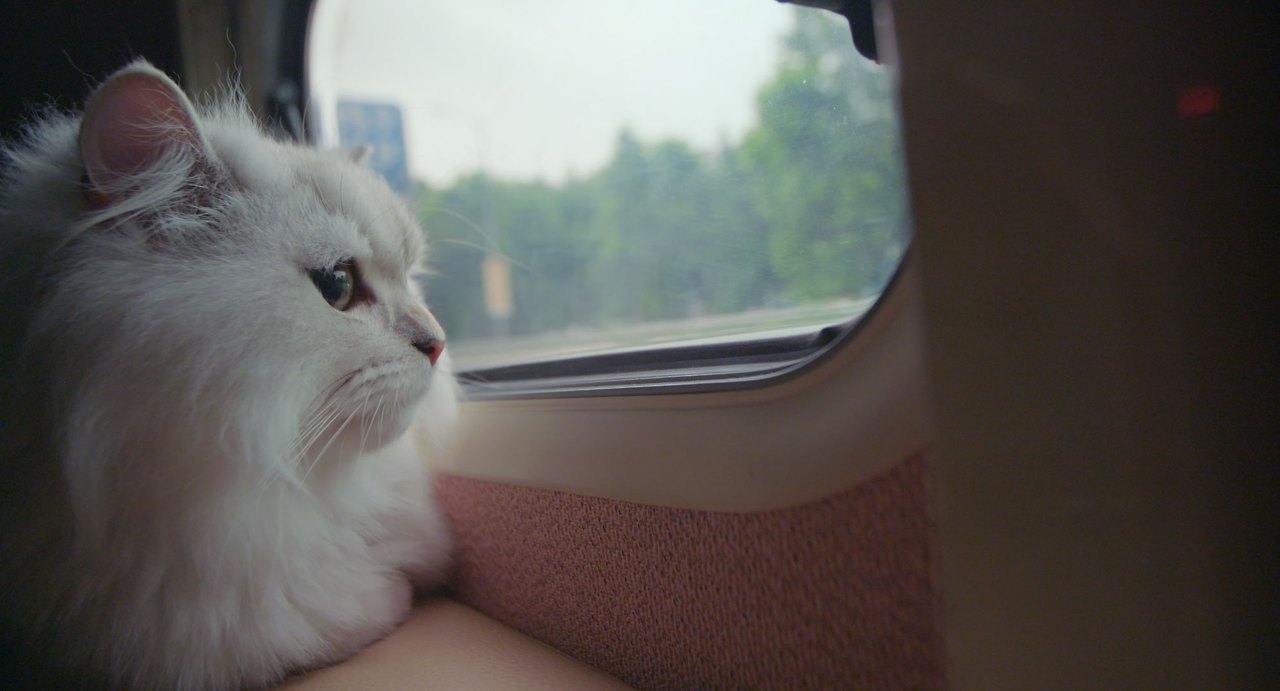 오늘도위위 4.jpg