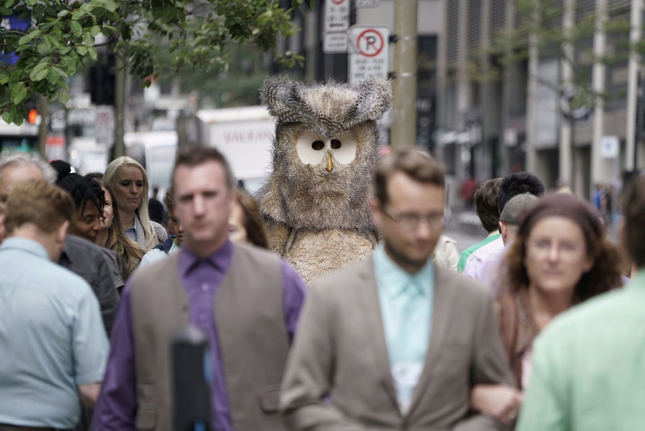 사랑은부엉부엉 2.jpg