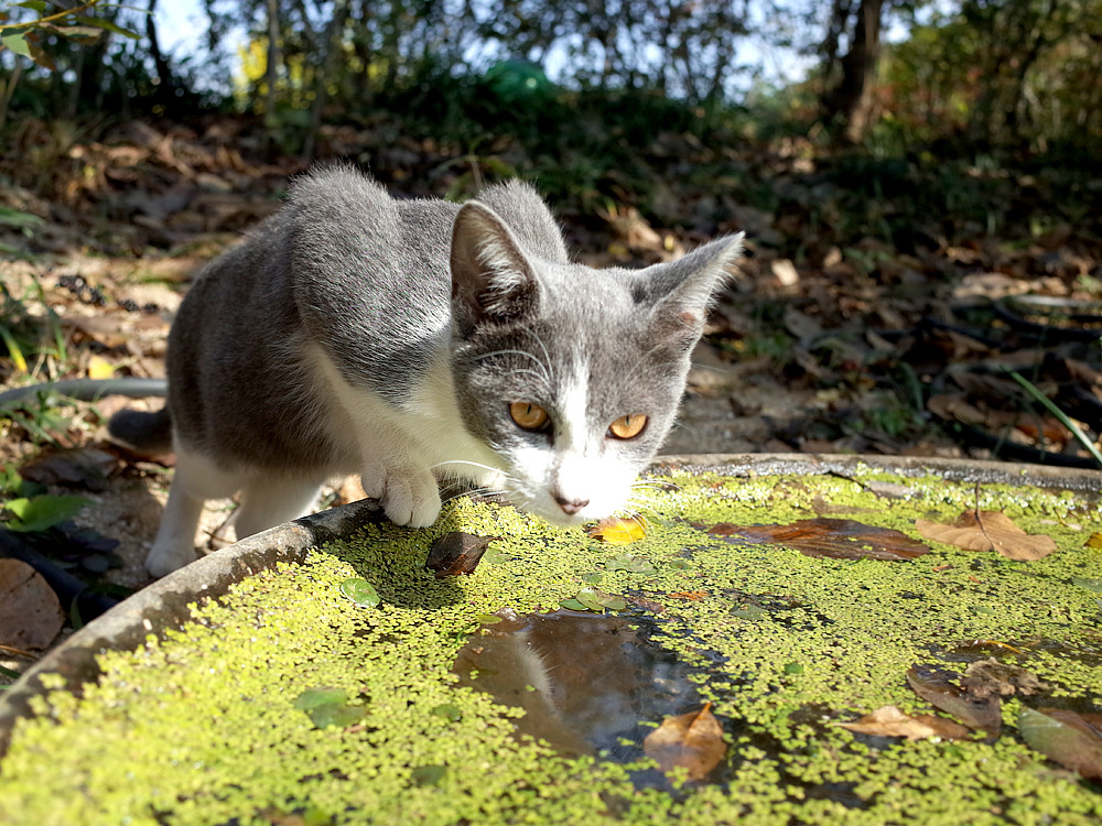 아미미술관 20.jpg