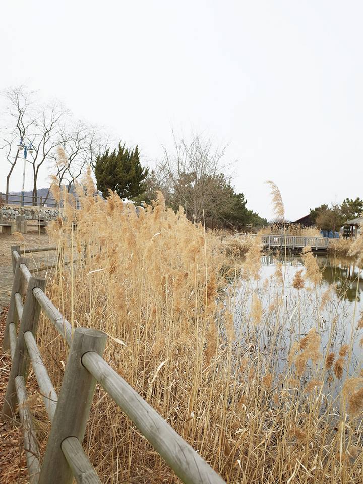 소래습지생태공원 15.jpg