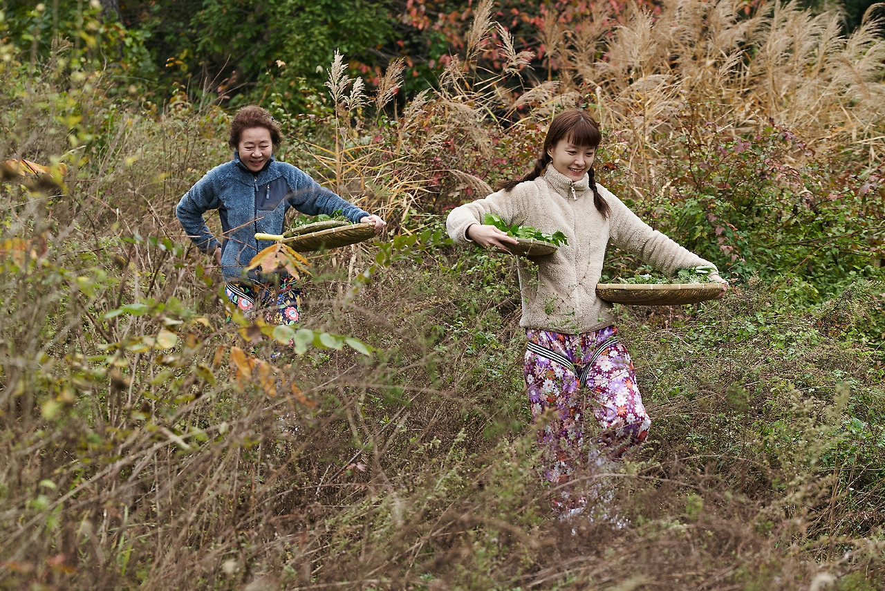 산나물처녀 3.jpg