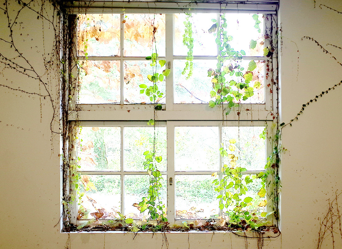 아미미술관 15.jpg