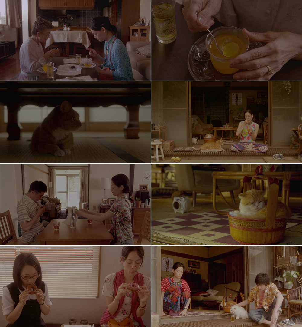 고양이를빌려드립니다 2.jpg