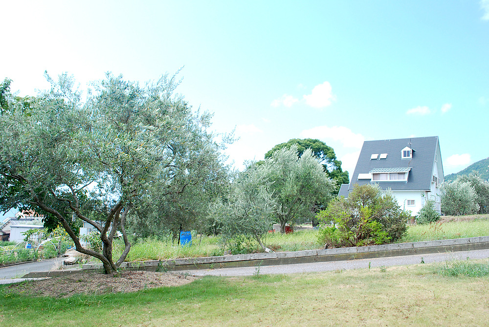 올리브공원 9.jpg