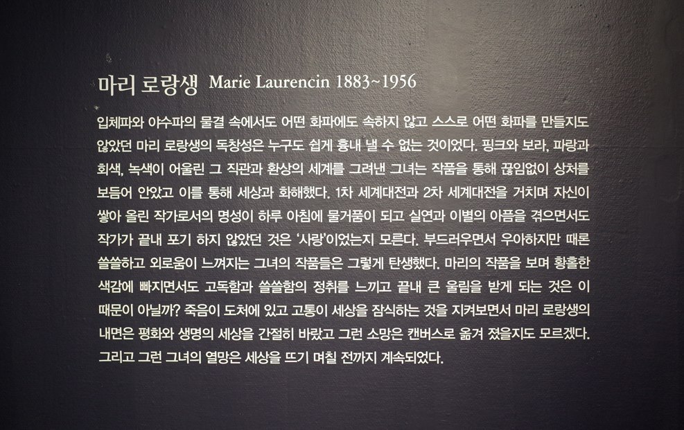 마리로랑생 7.jpg