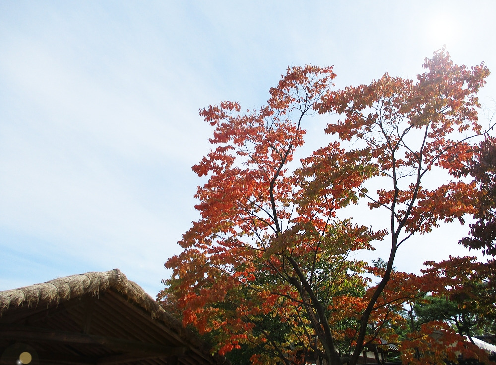 남산골한옥마을 19.jpg