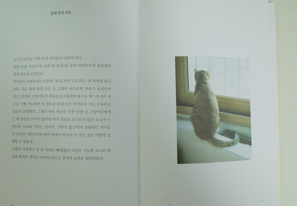 오늘이우리를기억해 2.jpg