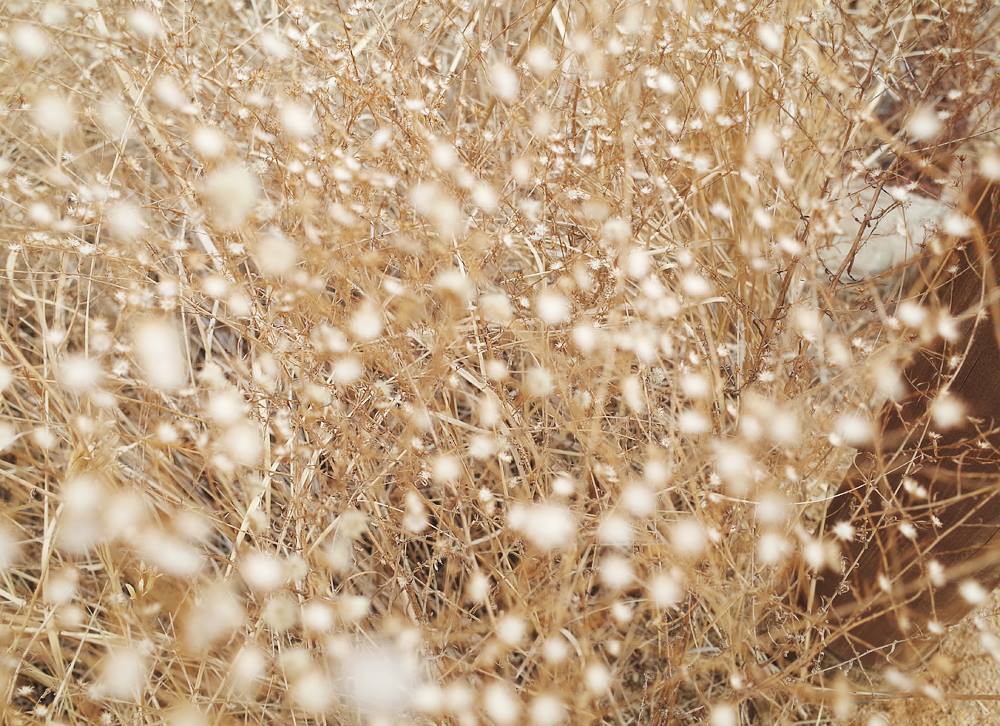 소래습지생태공원 7.jpg