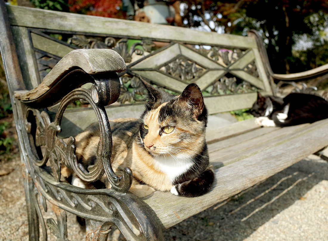 아미미술관 18.jpg