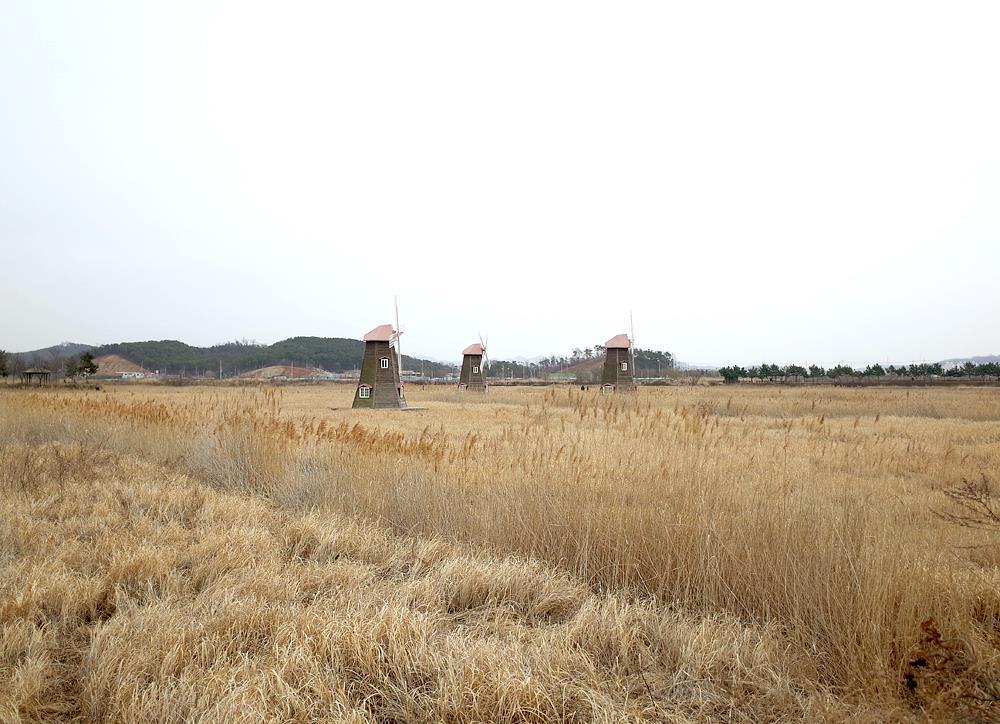 소래습지생태공원 6.jpg