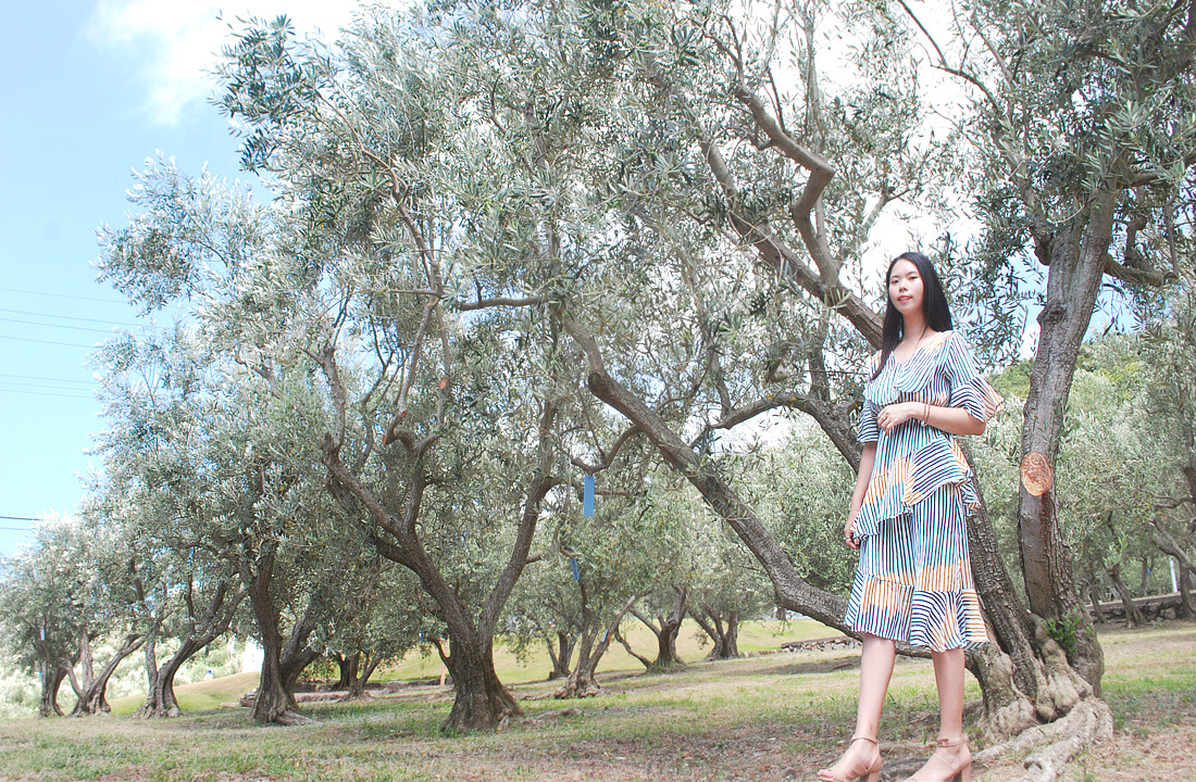 올리브공원 2.jpg