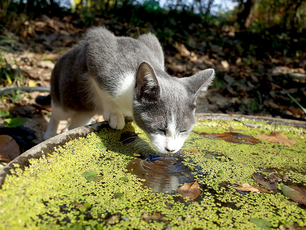 아미미술관 19.jpg