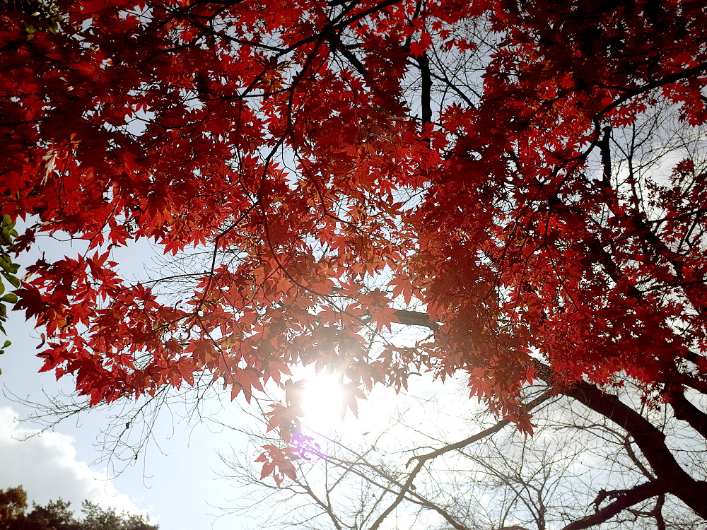 아미미술관 22.jpg