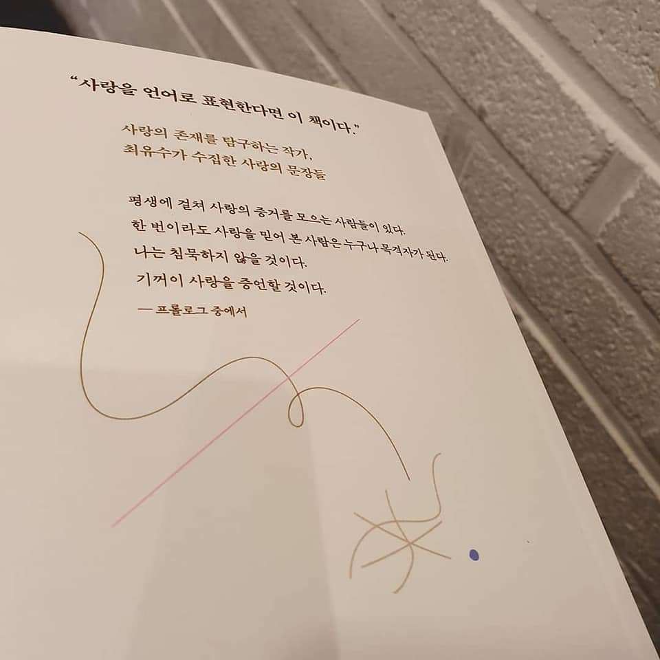 사랑의목격 2.jpg