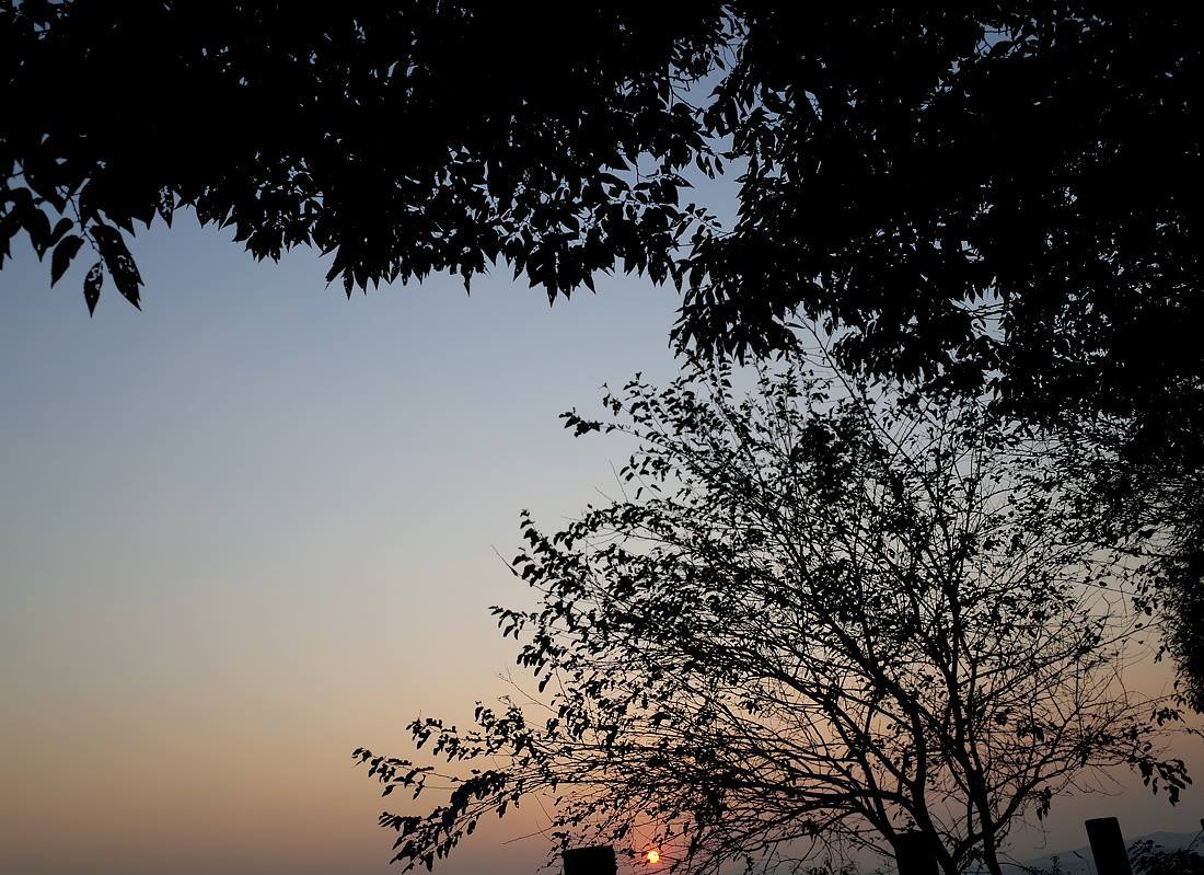 하늘공원 억새 15.jpg