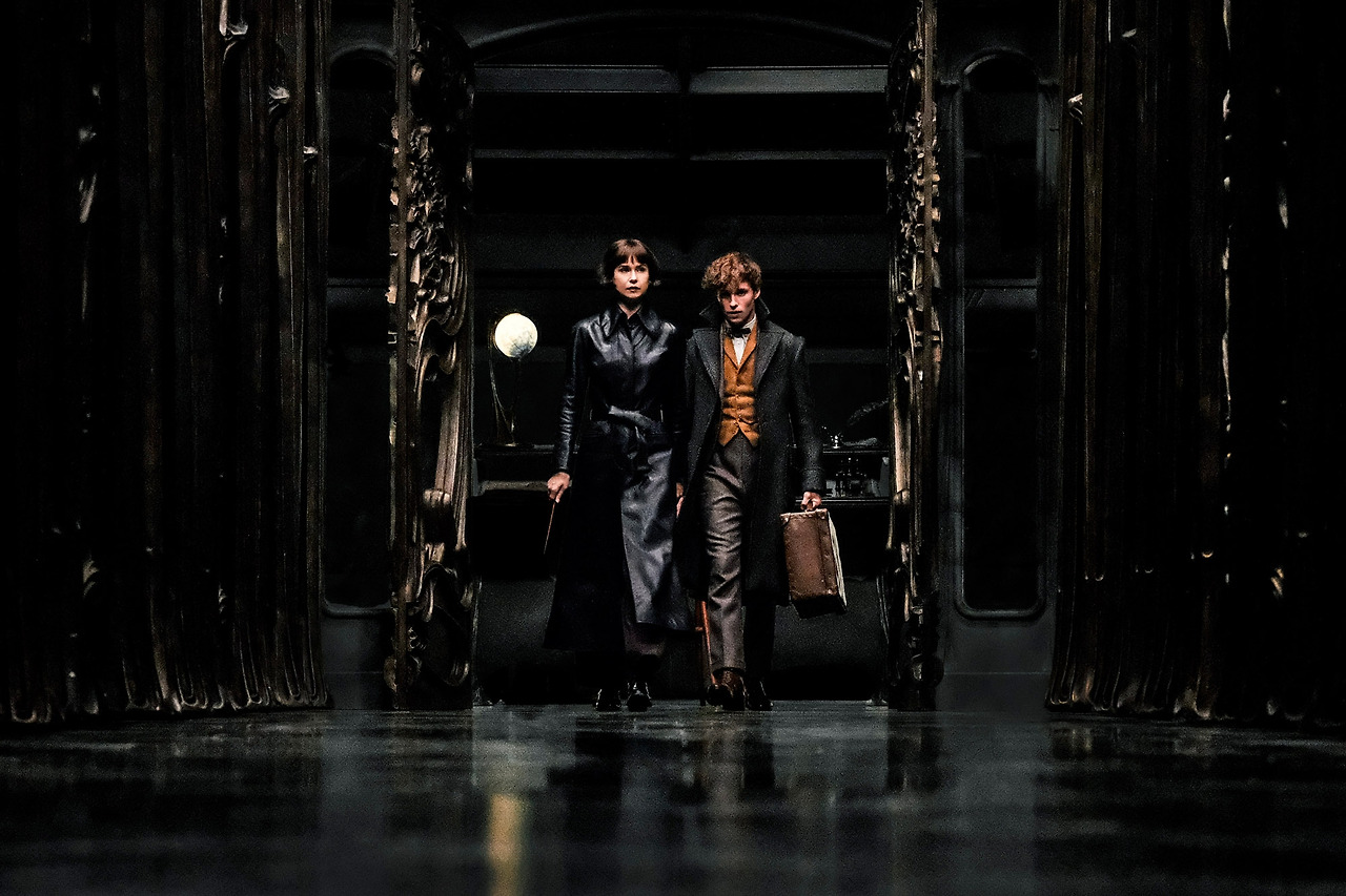 신비한동물 5.jpg