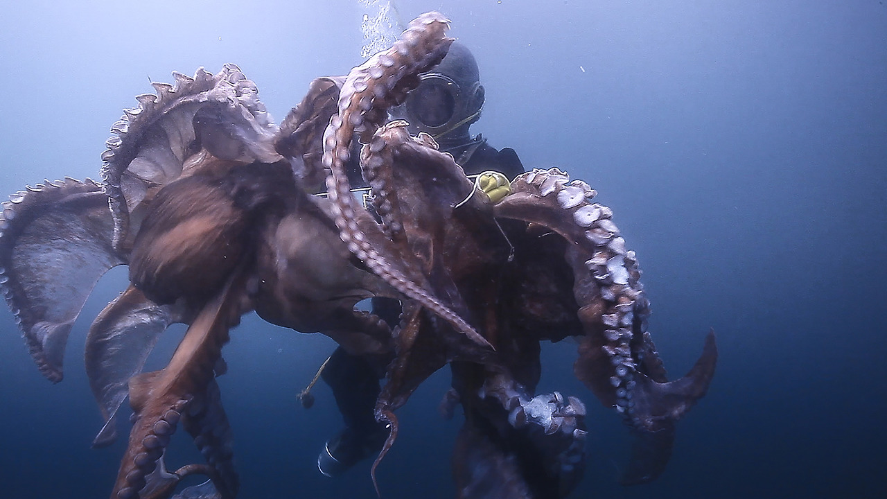 올드마린보이 3.jpg