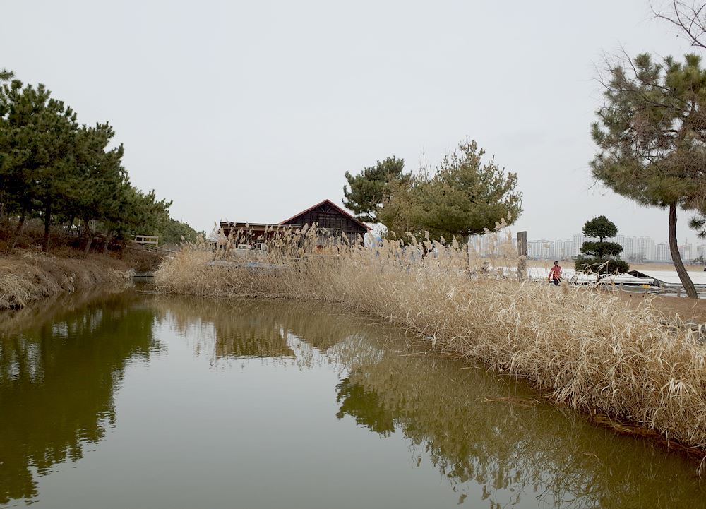 소래습지생태공원 11.jpg