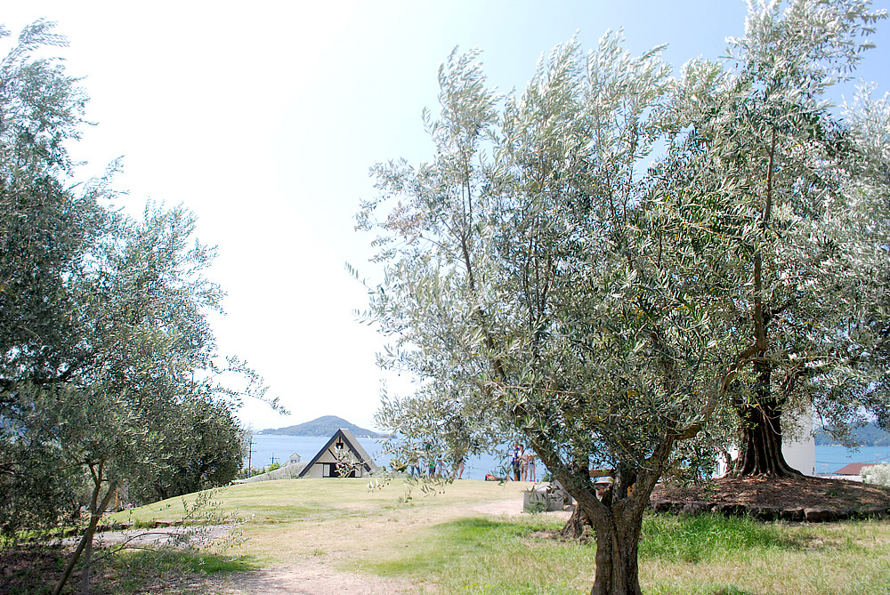 올리브공원 13.jpg