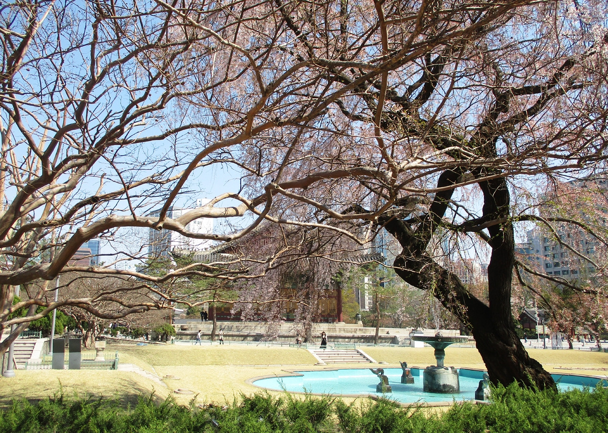 덕수궁 15.jpg