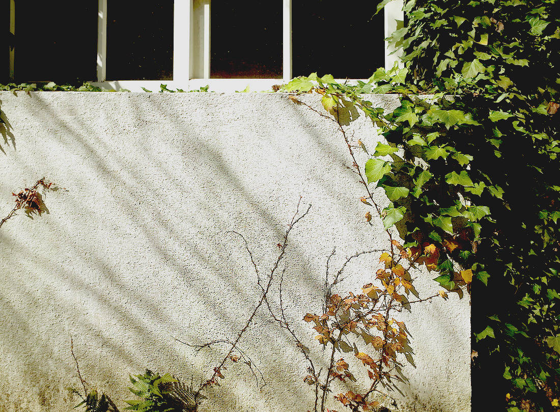 아미미술관 21.jpg