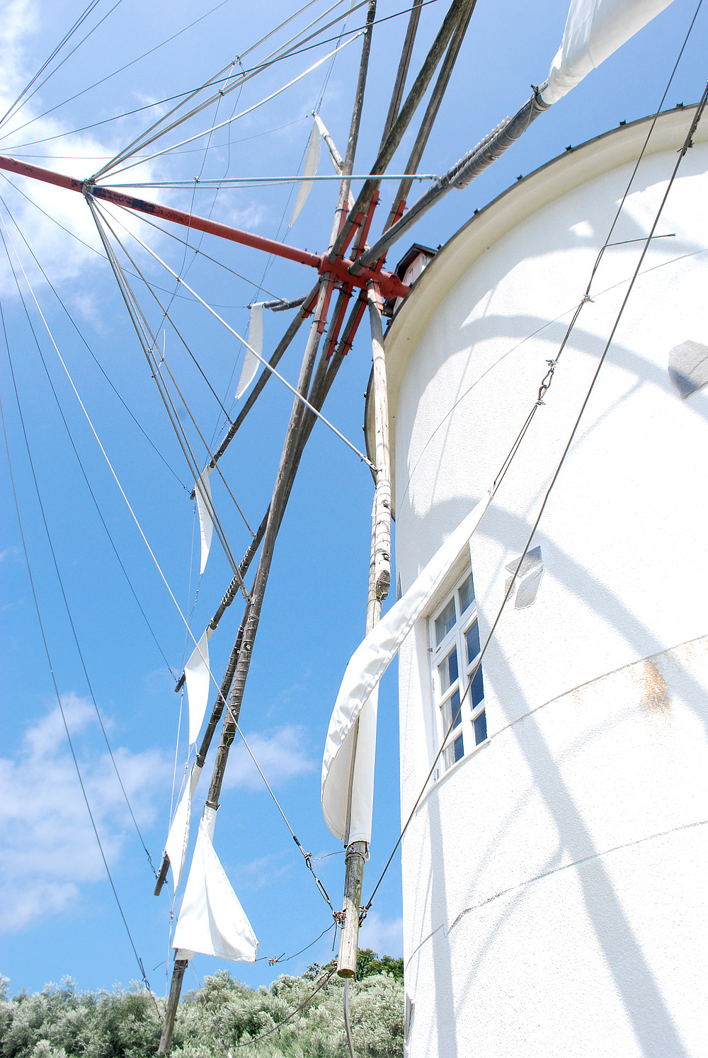 올리브공원 15.jpg