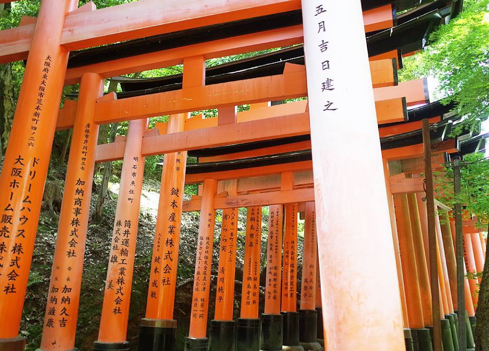 후시미이나리 5.jpg