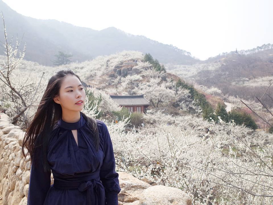 광양매화마을 1.jpg