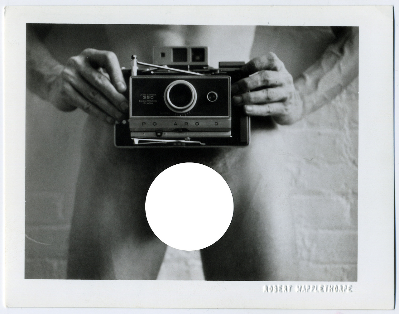 메이플쏘프 4.jpg