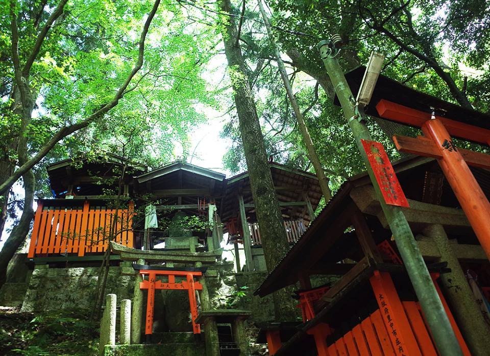 후시미이나리 8.jpg