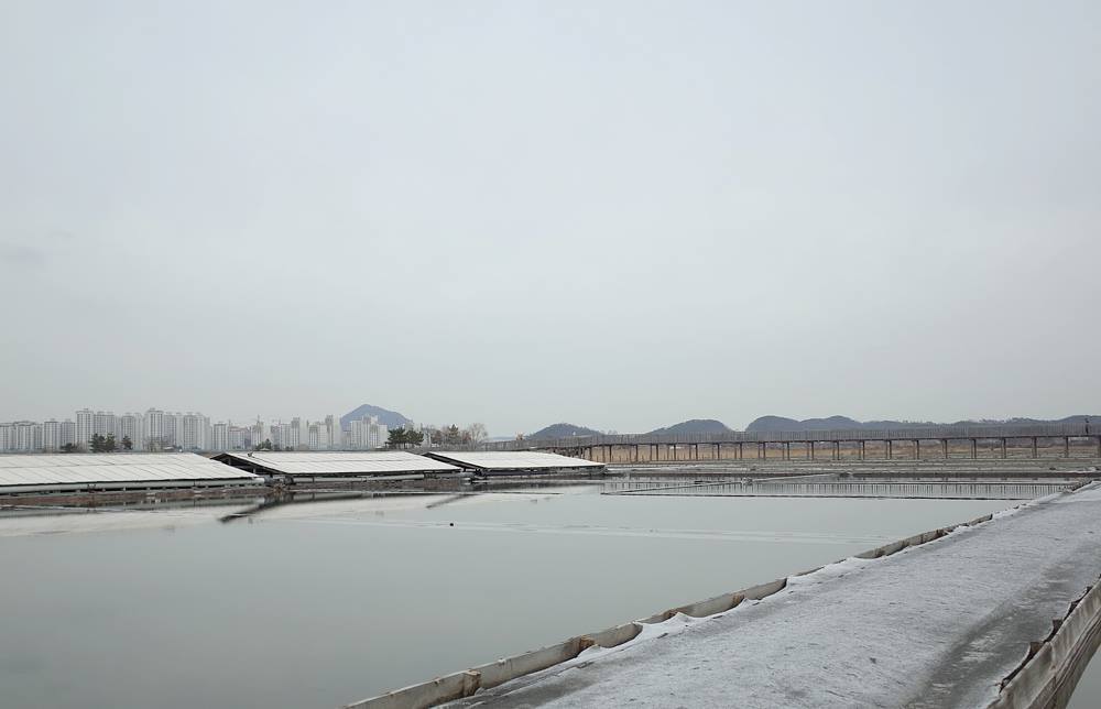 소래습지생태공원 12.jpg