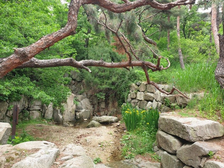 20250524_145837 (1).jpg