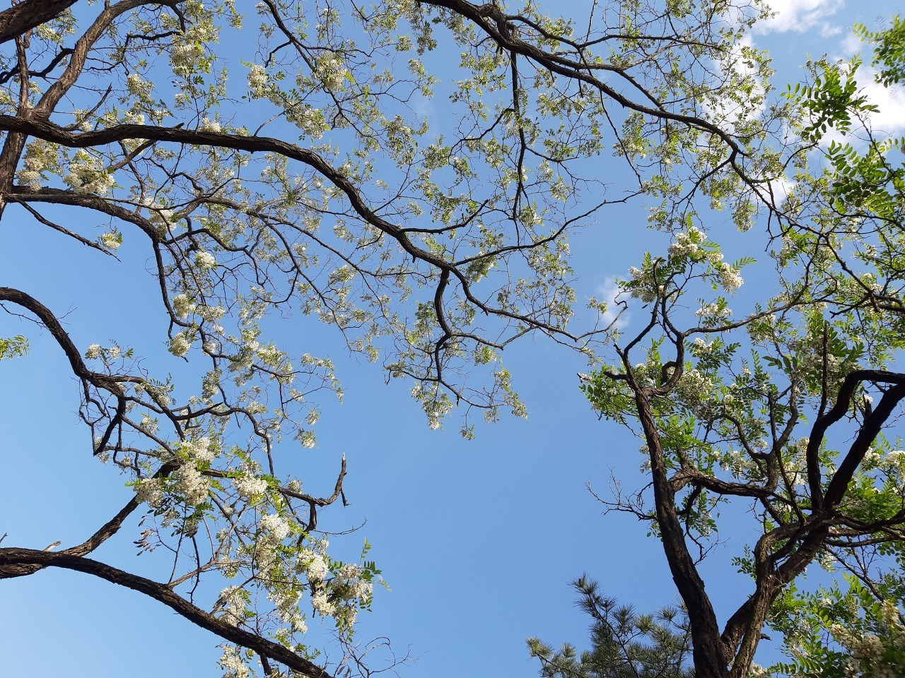 다운로드 (11).jpg