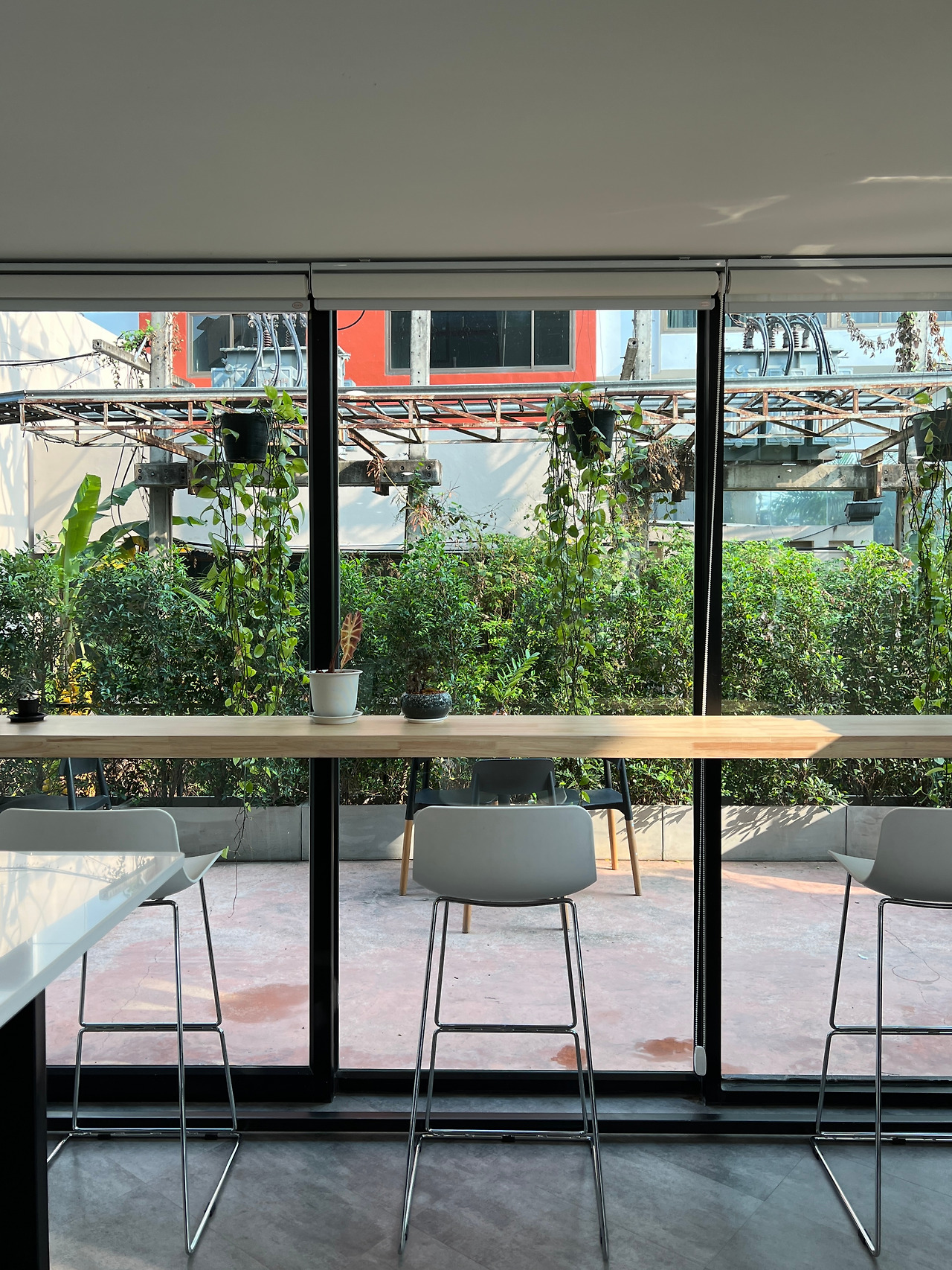 2023-03-16 08.52.16 (1).jpg