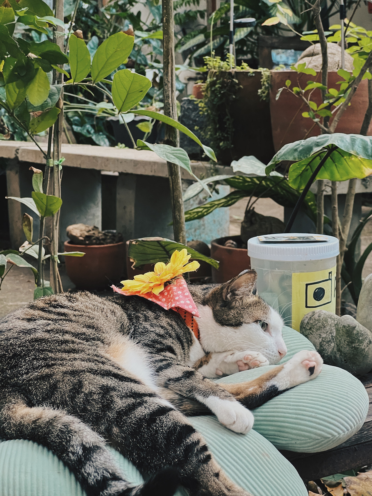 2023-03-19 15.43.14.jpg