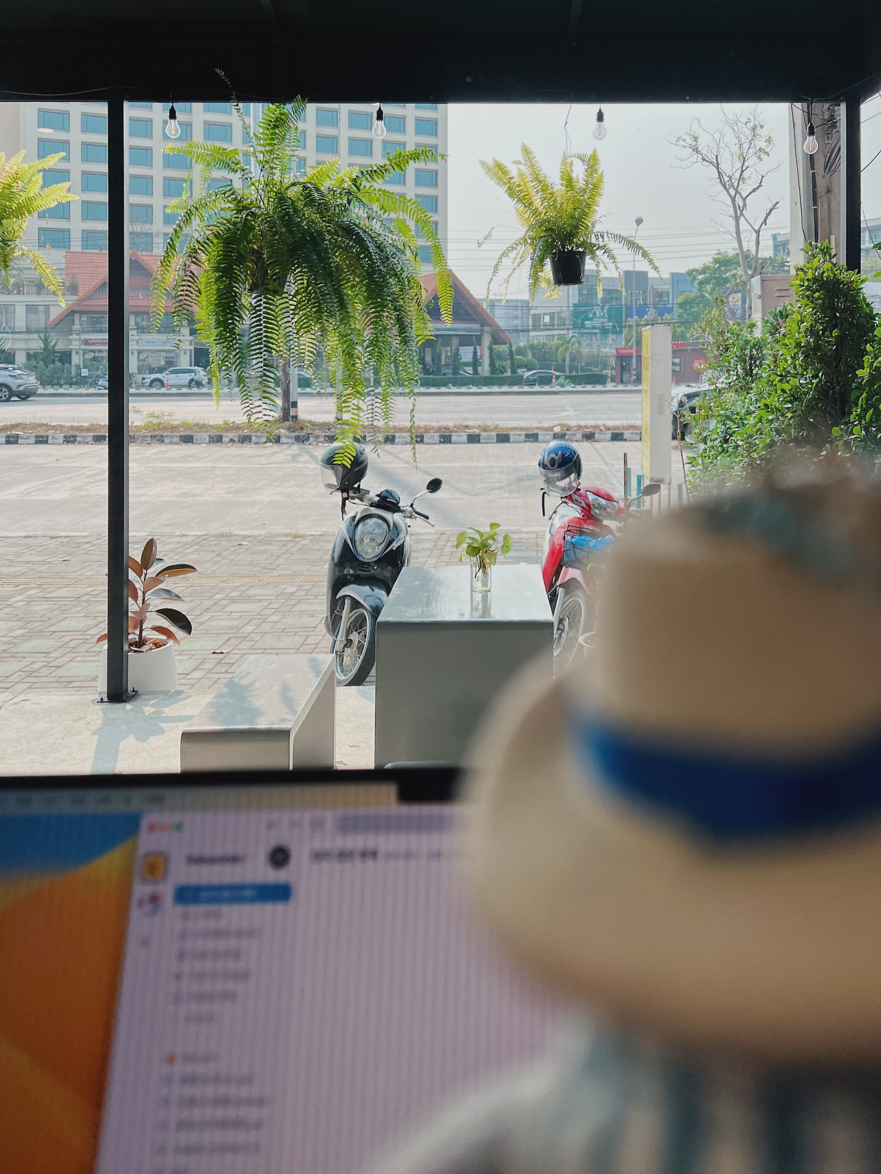 2023-03-16 09.03.15-1.jpg