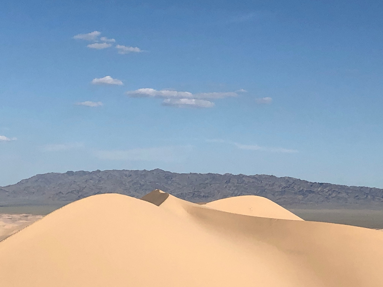 사막1.jpg
