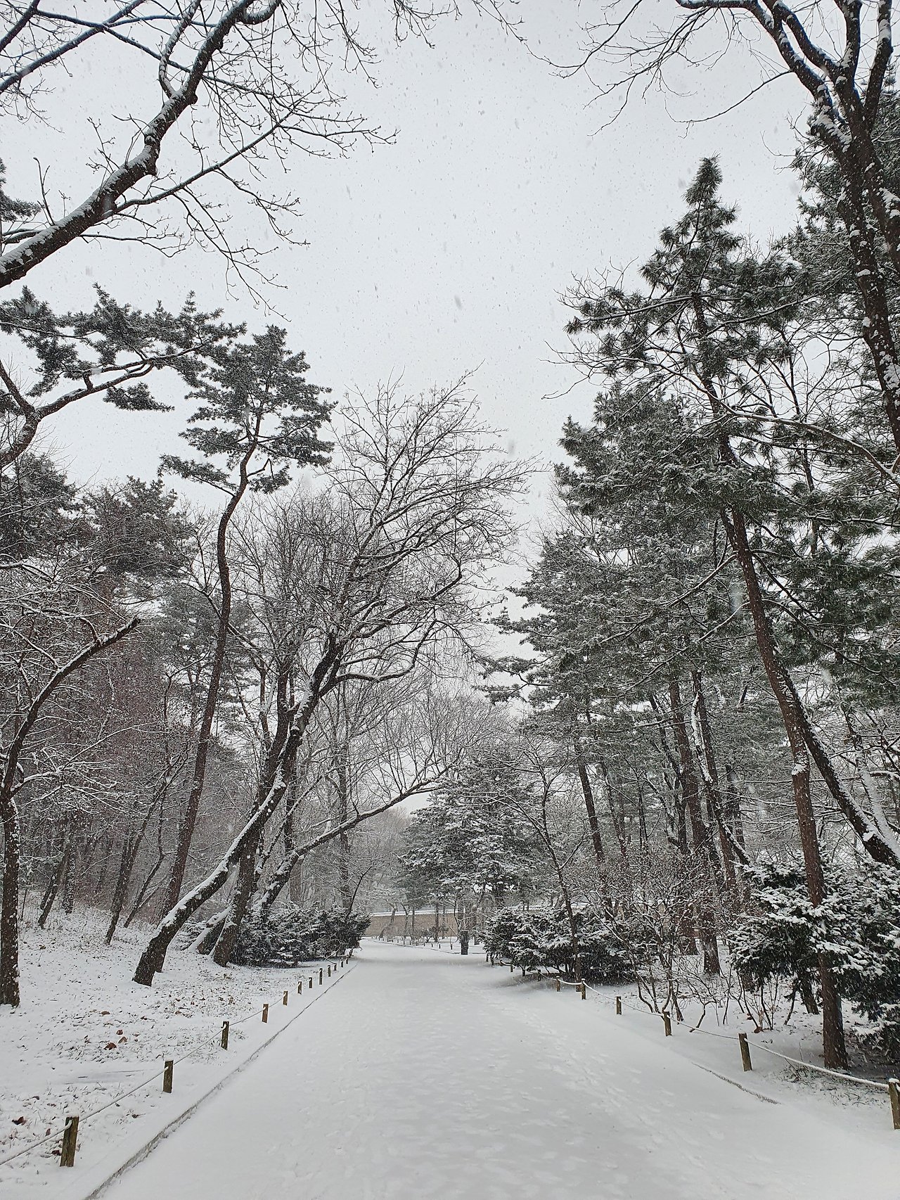 눈오는종묘.jpg