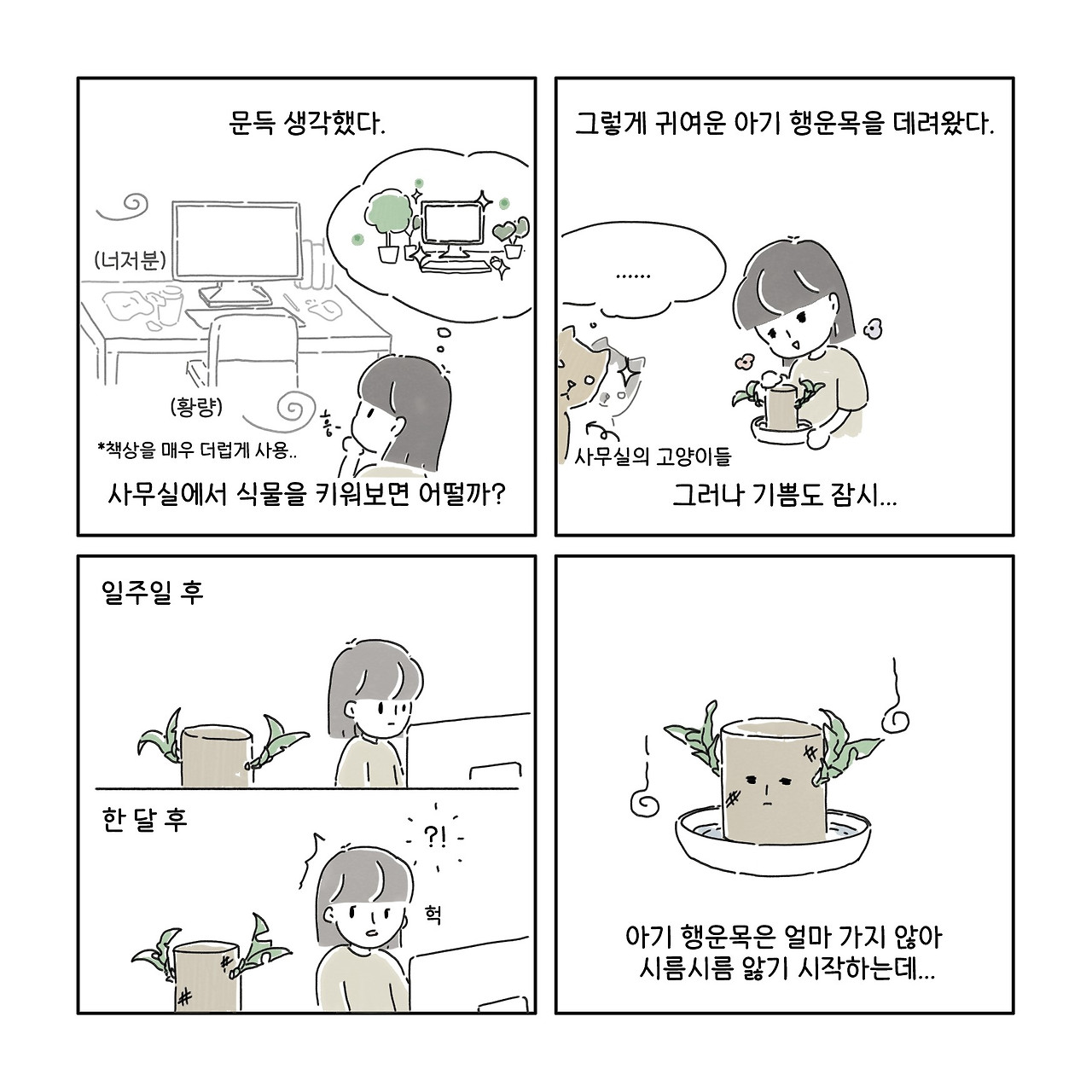 회사에서 식물키우기 _1_1.jpg