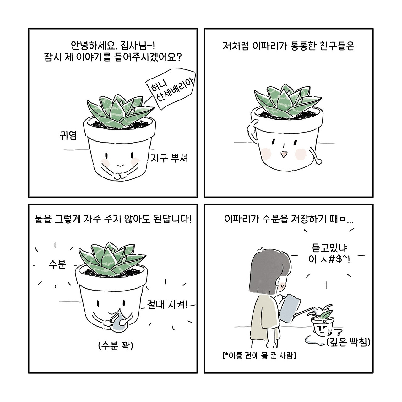 나의 반려 식물이 말을 할 수 있다면_허니 산세베리아.jpg