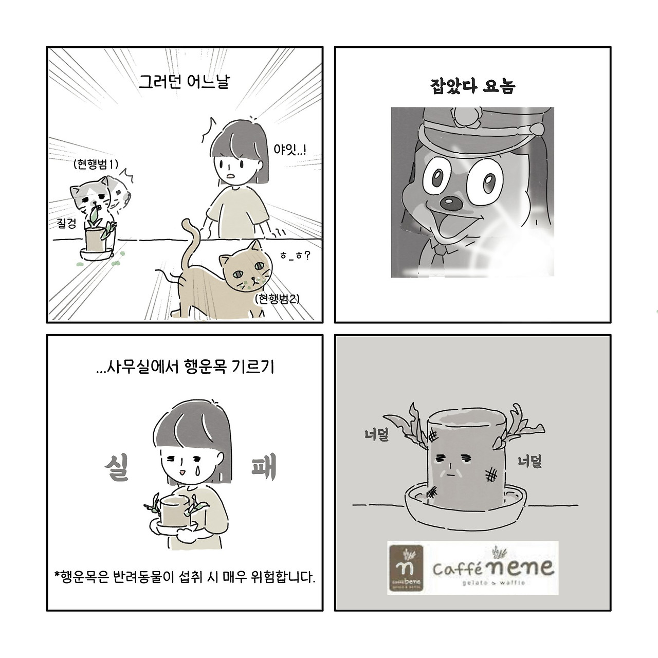 회사에서 식물키우기 _1_2.jpg