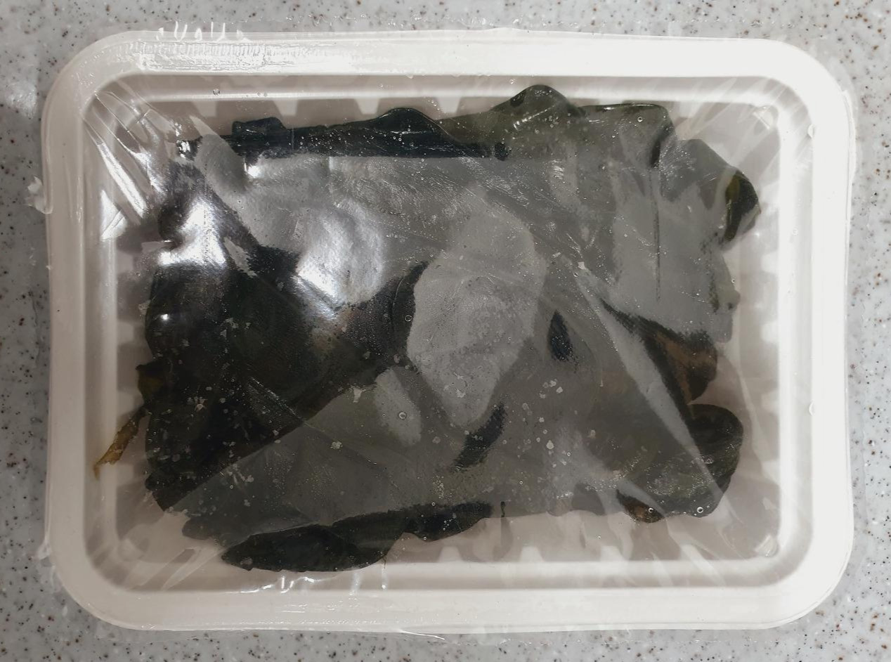 KakaoTalk_20210817_185000806 (2).jpg