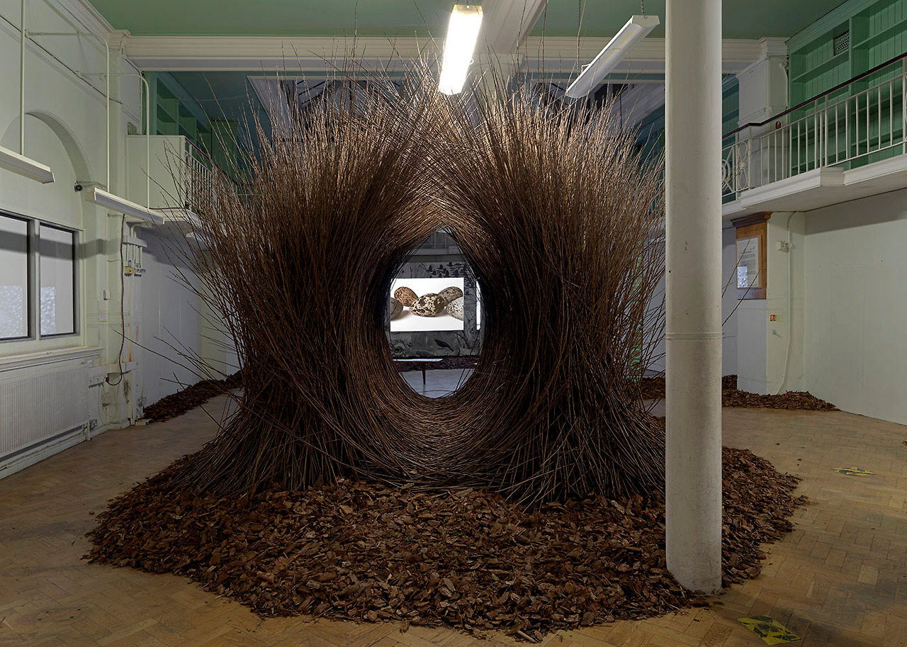 Natural Selection 095.jpg