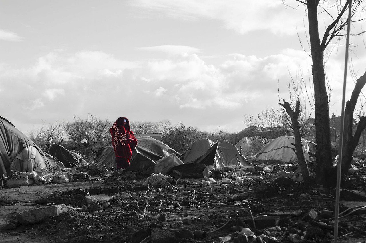 Call me by my name_Press images_Image 4_The red carpet Paul Evans_300 dpi 15 cm (1).jpg