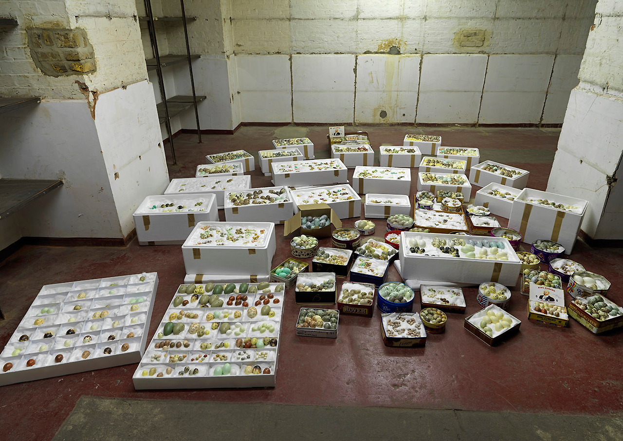 Natural Selection 055.jpg