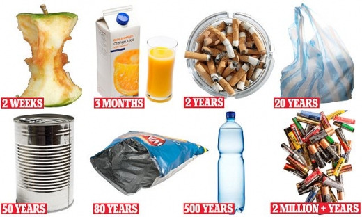 썩을놈시리즈01 데일리메일.jpg