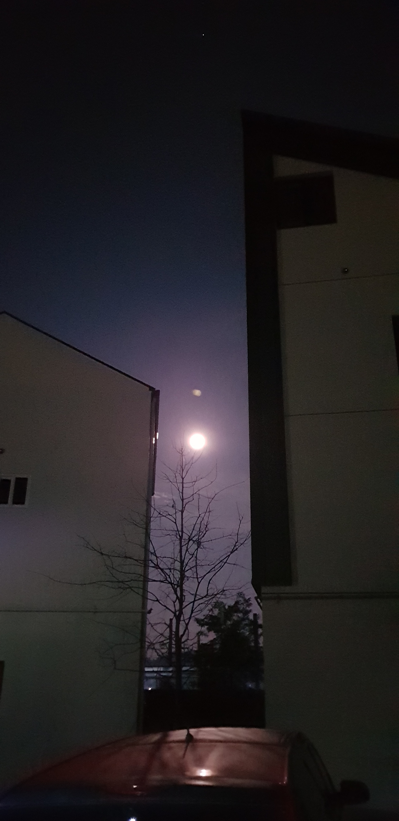 그녀와 나는  '문 로드(달길)'라 칭하기로 했다. 우리에게 허락된 공간을......jpg