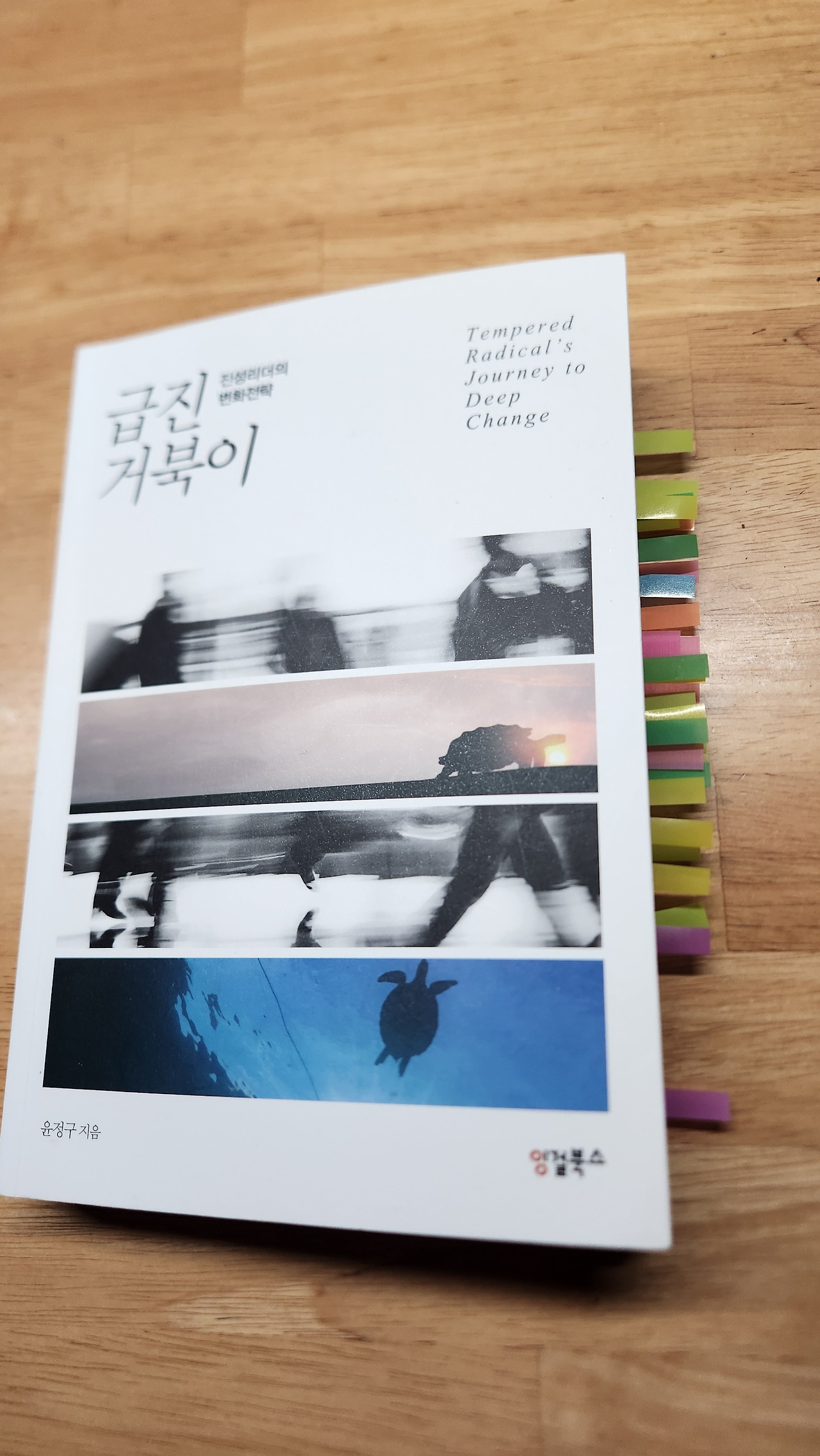 카지노 게임 사이트
