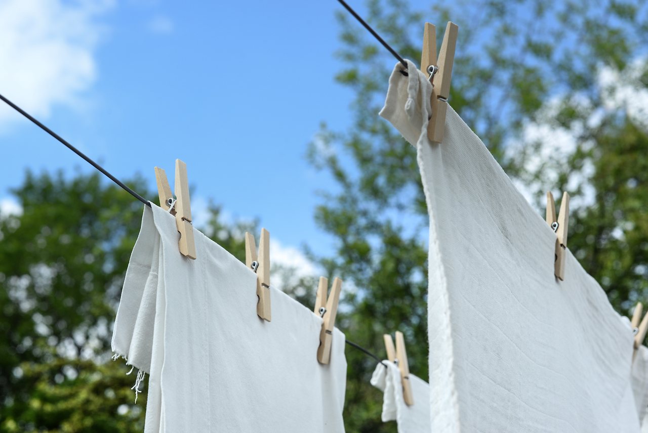 close-up-clothes-clothesline-1122167.jpg
