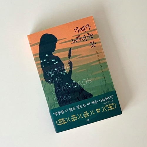 책_가재가노래하는곳.jpg